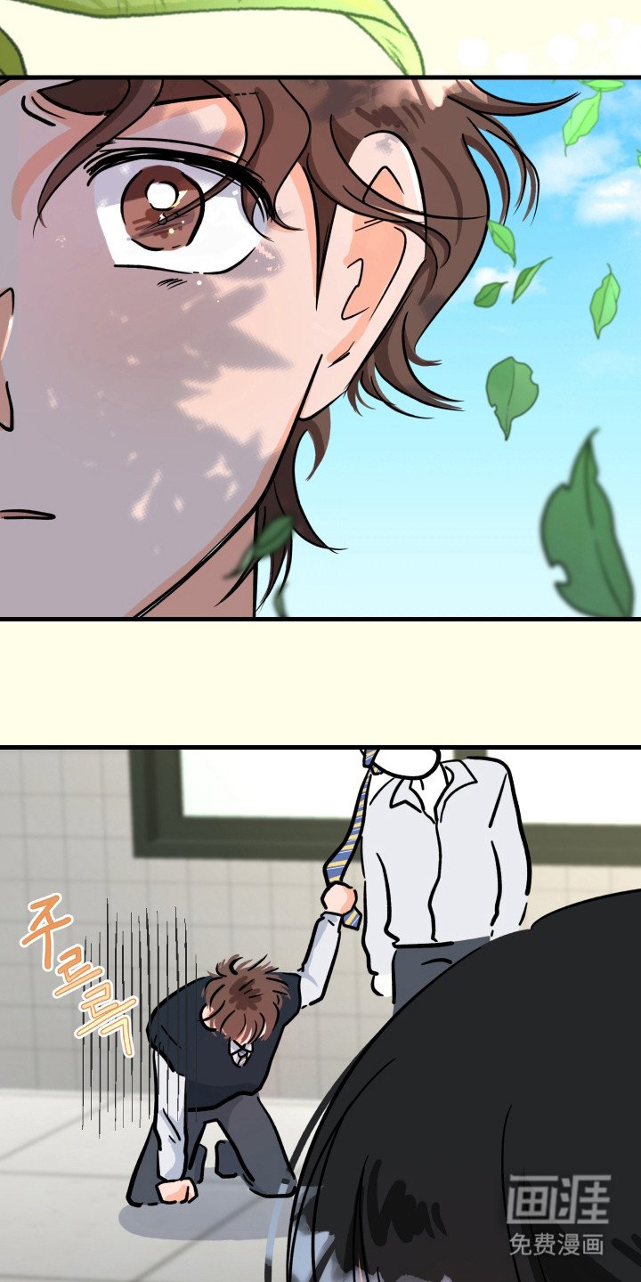 第5章：心动