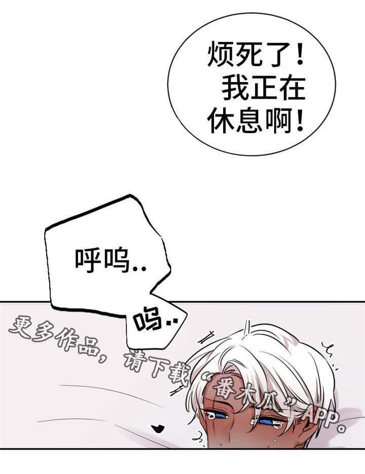 第11章：烦死了