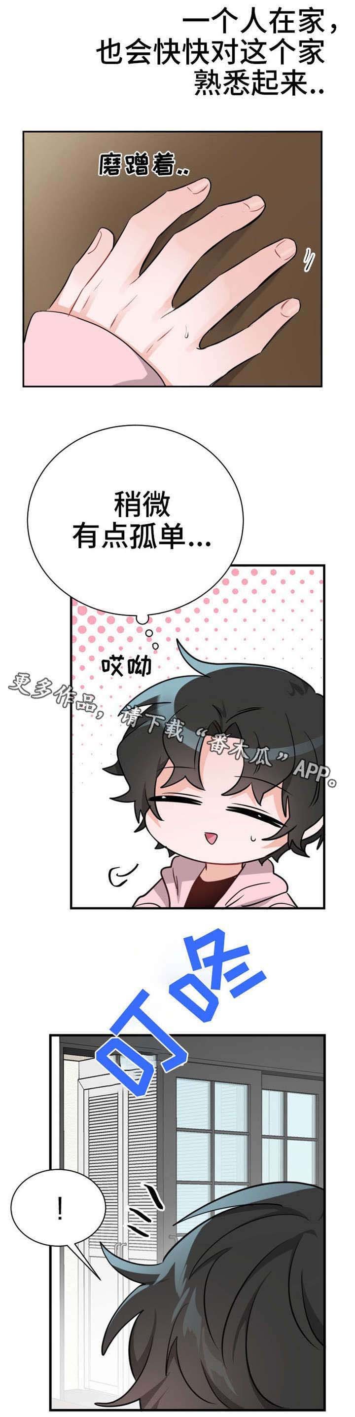 第15章：拜访者