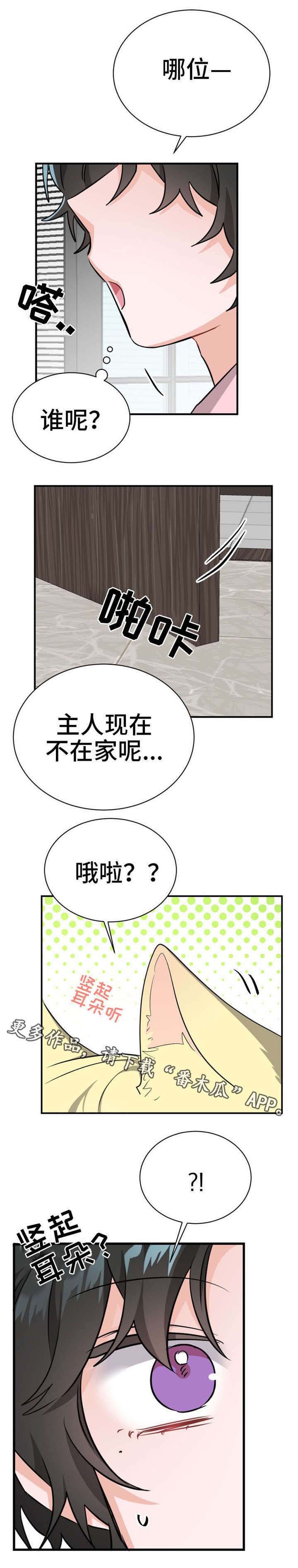 第15章：拜访者