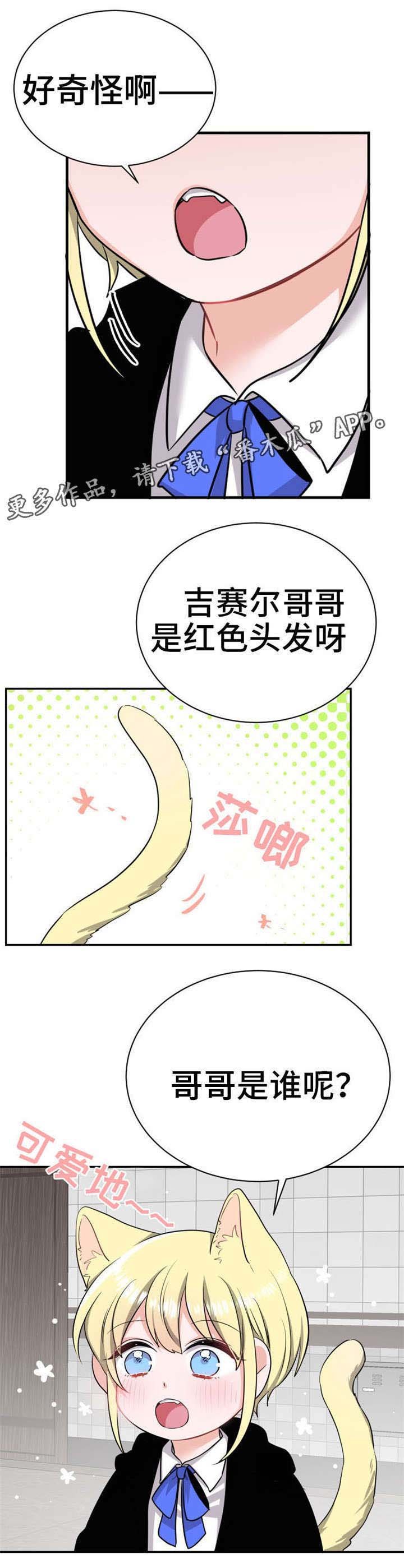 第15章：拜访者