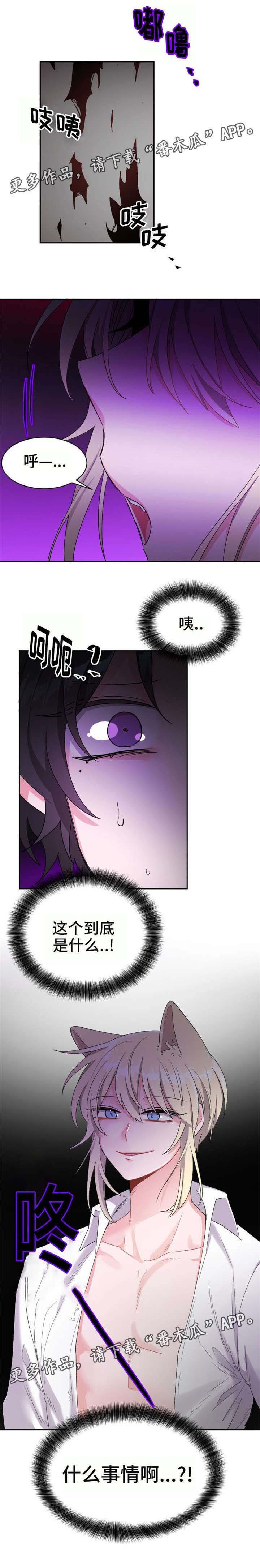 第18章：实际年龄