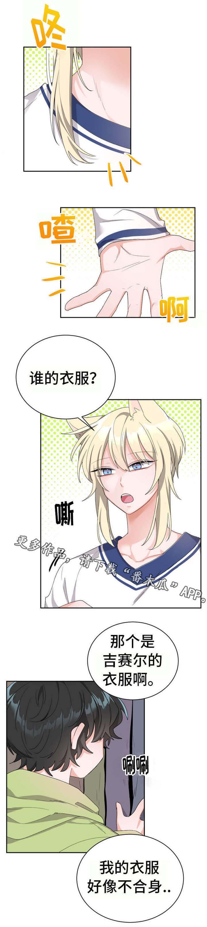 第19章：任何事
