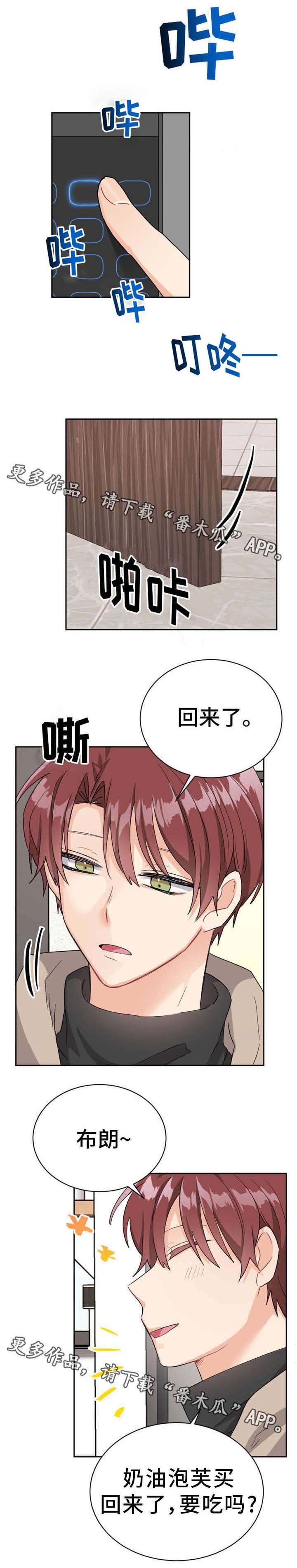 第20章：我的特长