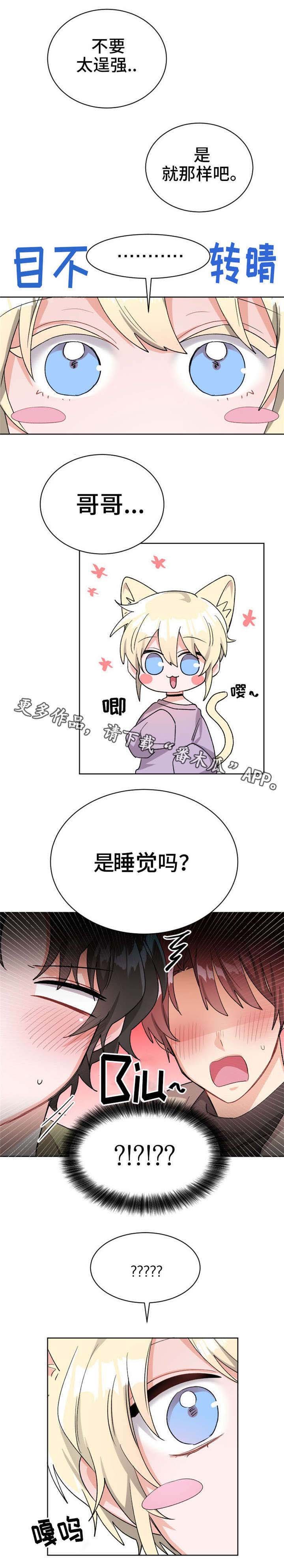 第20章：我的特长