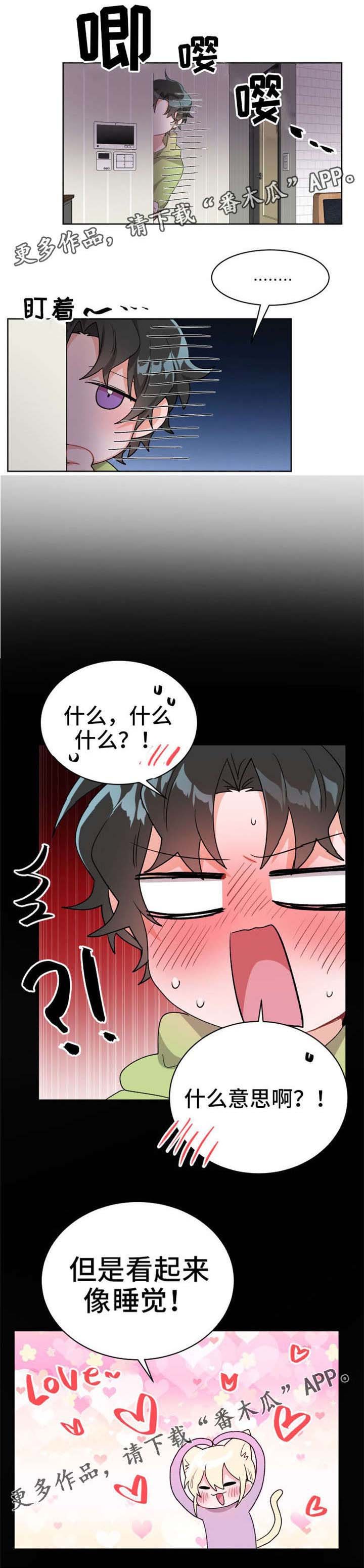 第21章：伙伴