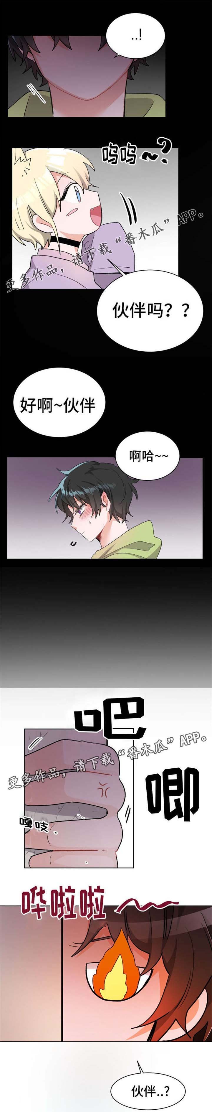 第21章：伙伴