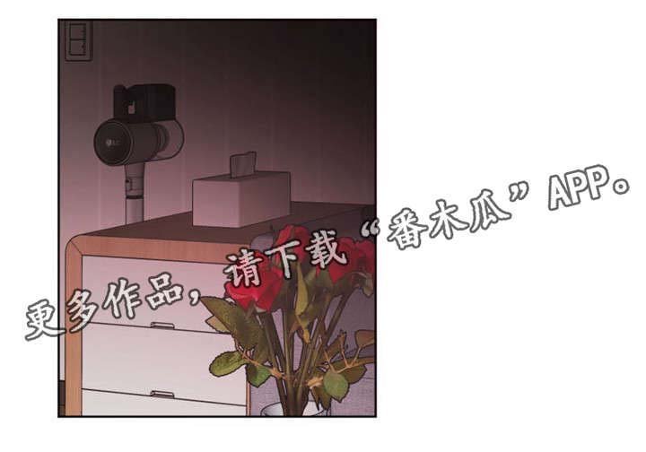 第21章：伙伴