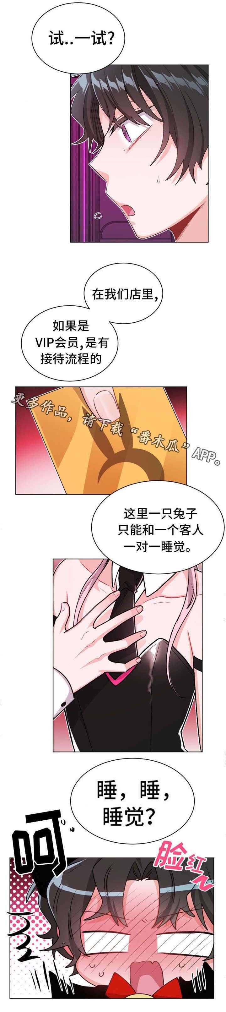 第25章：表演