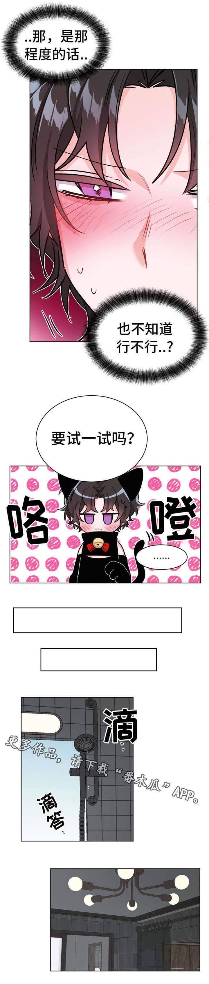 第25章：表演