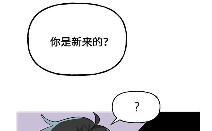 第35章：我喜欢的工作