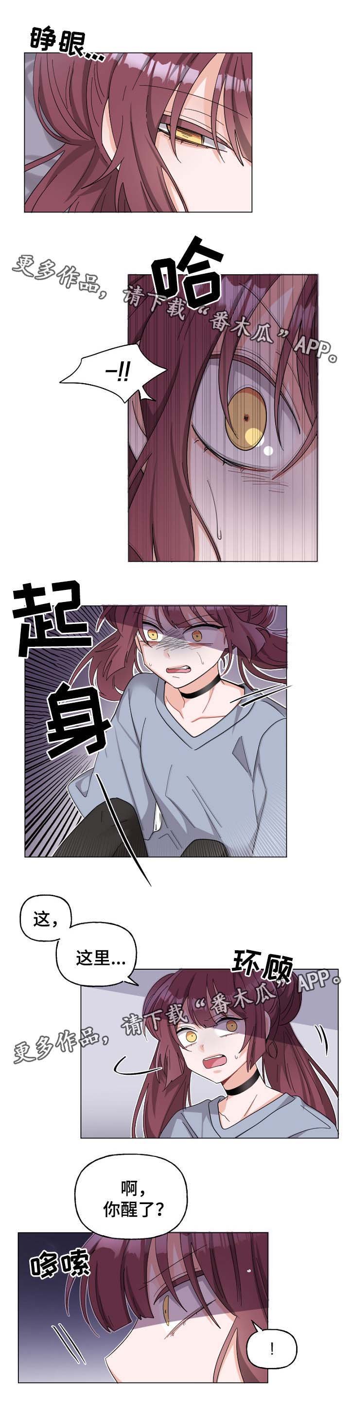 第41章：想摆脱的命运