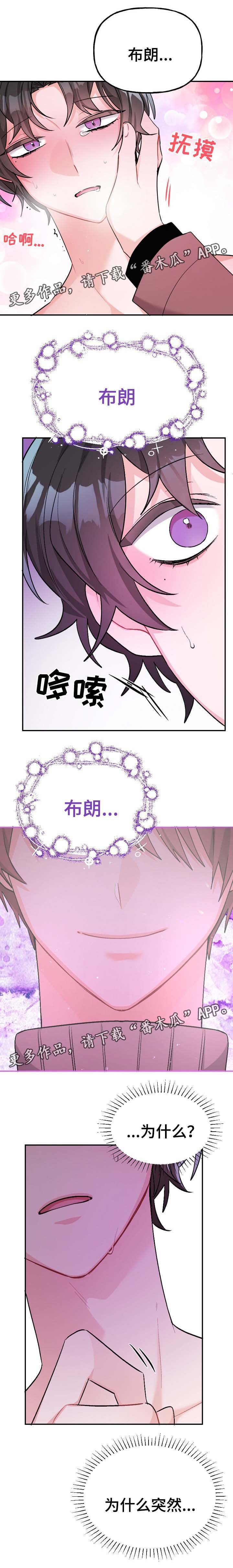 第44章：爱情