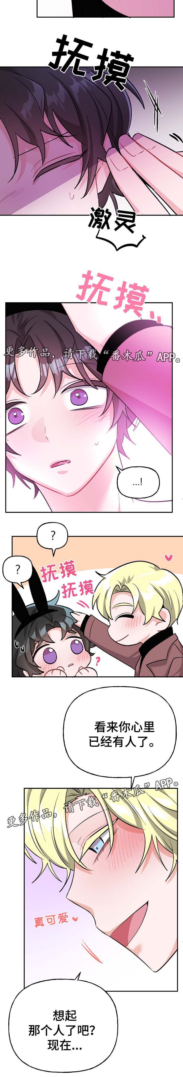 第44章：爱情