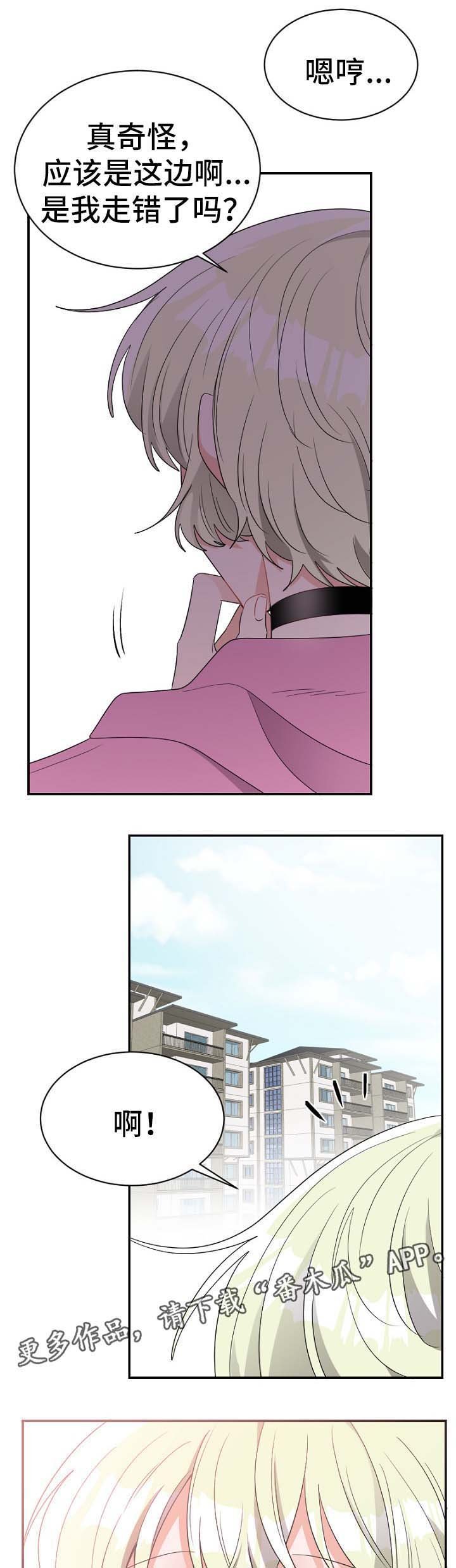 第48章：有客上门