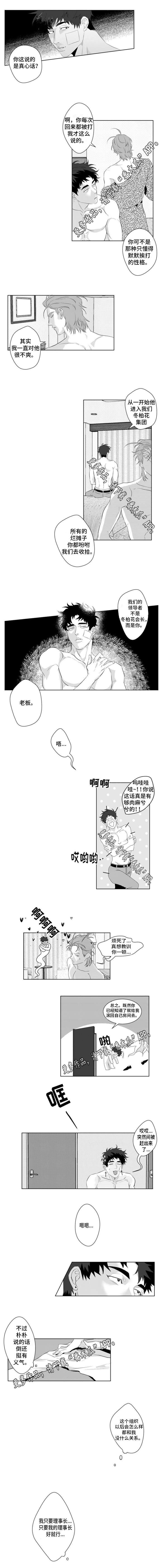 第15章：因为我喜欢你