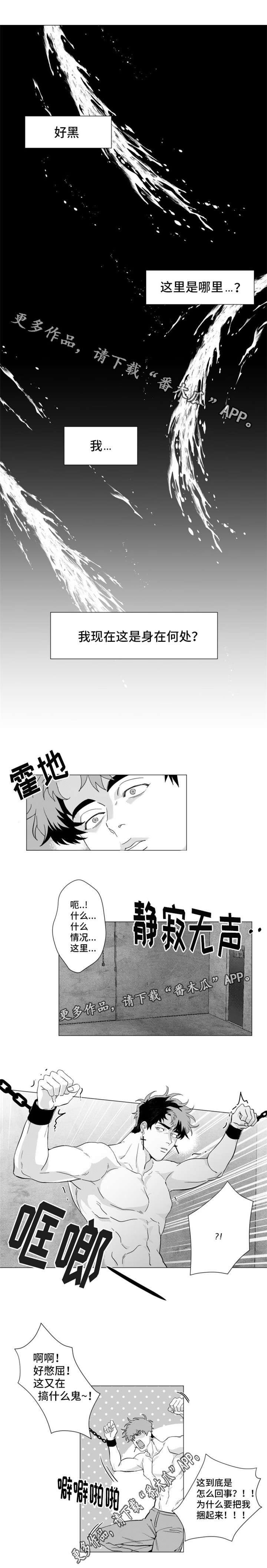 第16章：我身在何处？