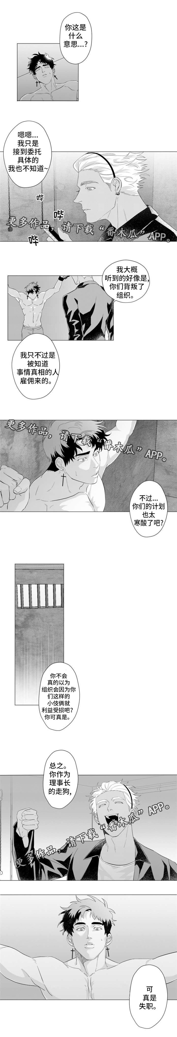 第16章：我身在何处？