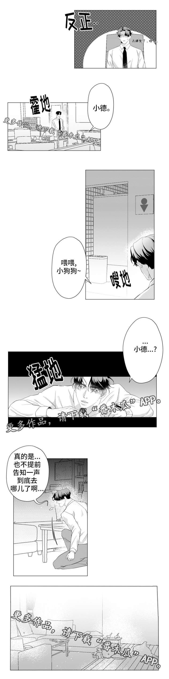 第16章：我身在何处？