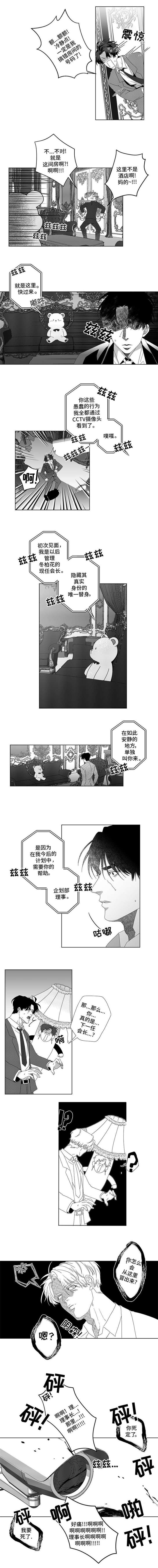 第3章：绝佳机会