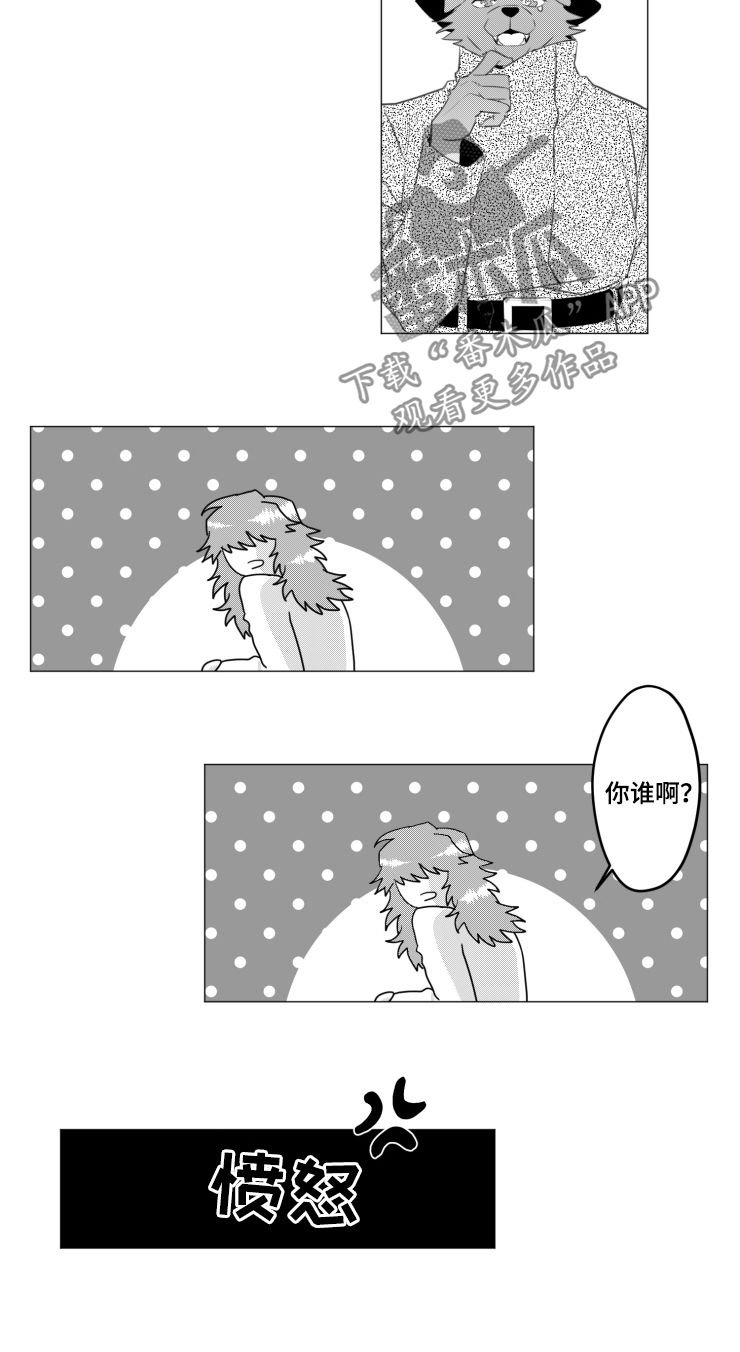 第31章：绝对不可以
