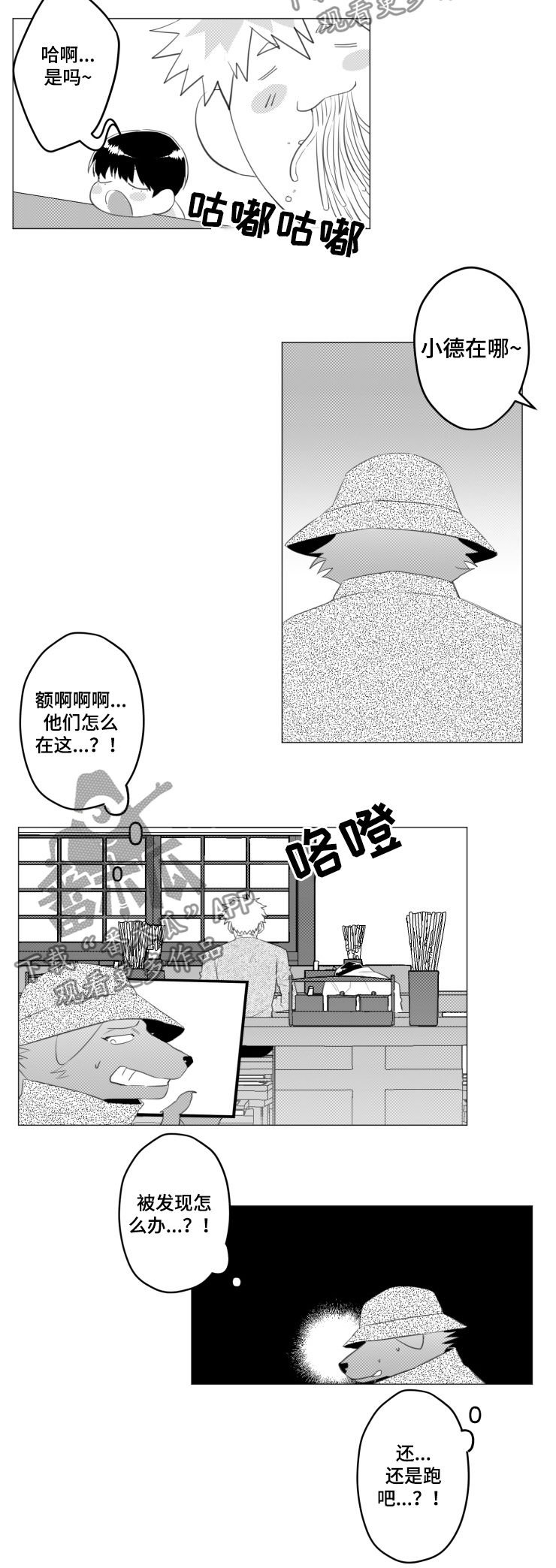 第31章：绝对不可以