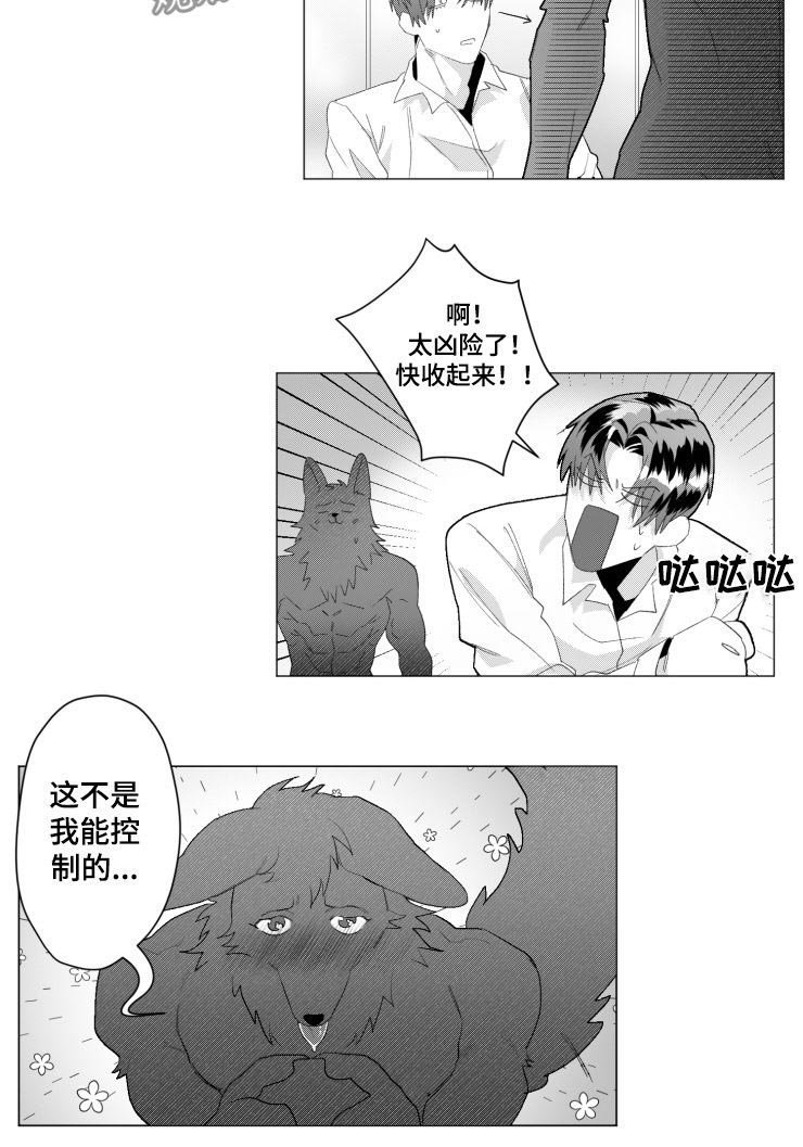 第36章：想试试看