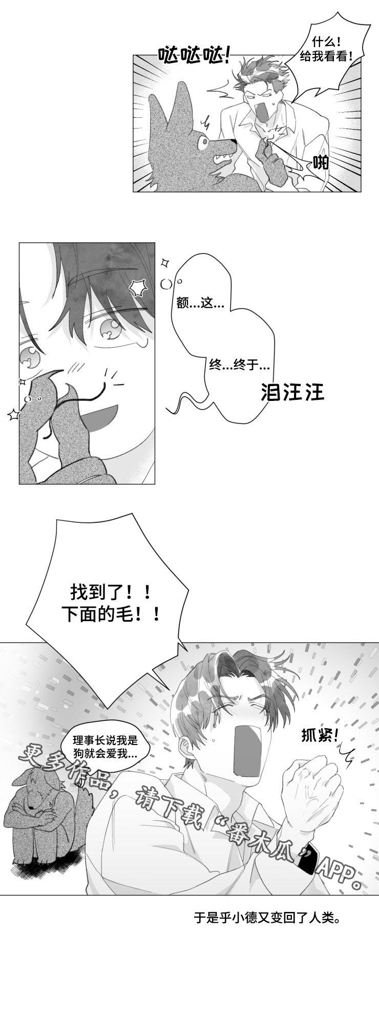 第37章：变回人类