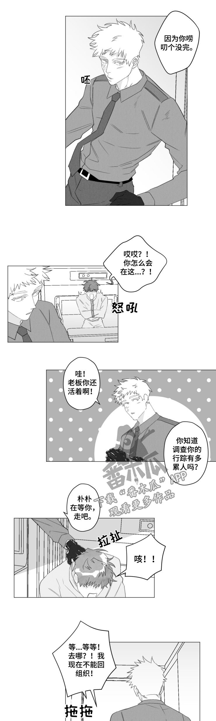 第41章：香饽饽