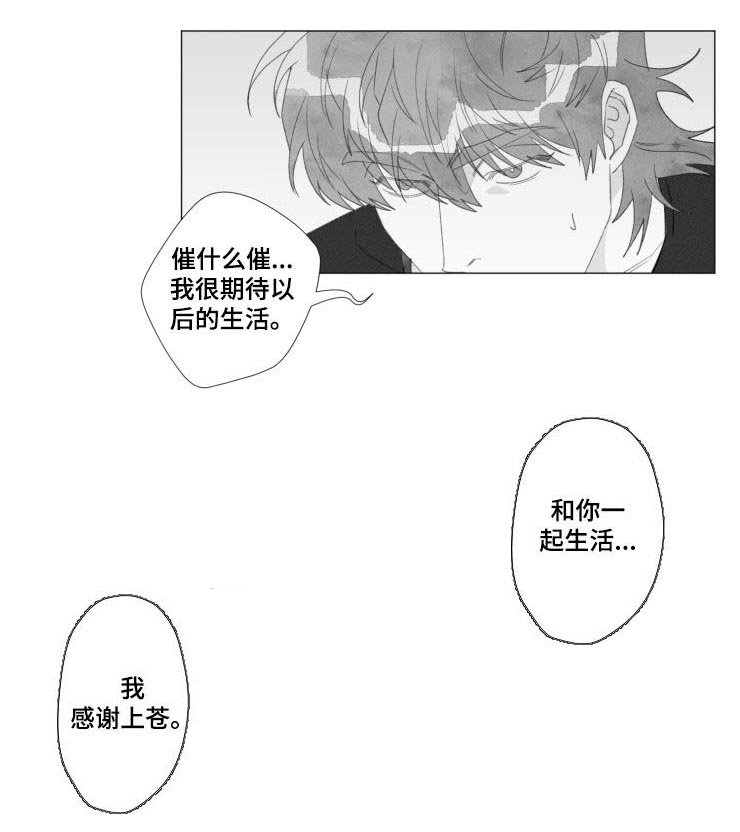 第48章：感谢上苍（完结）