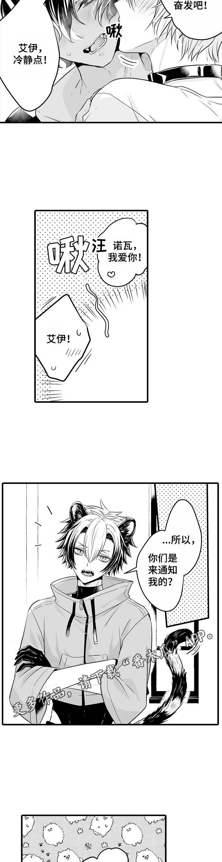 第11章：操心