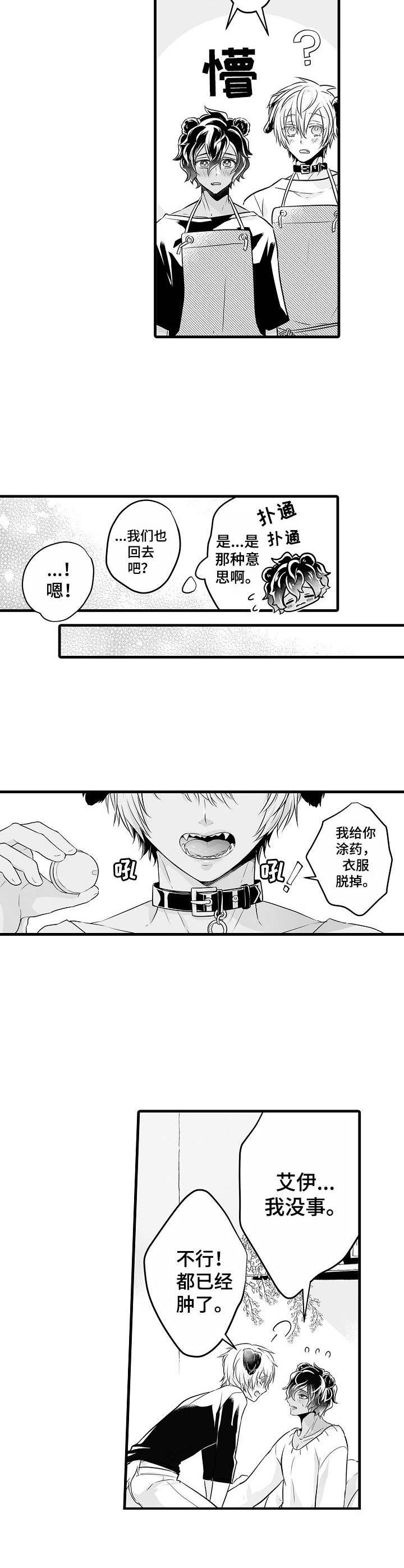 第13章：涂药