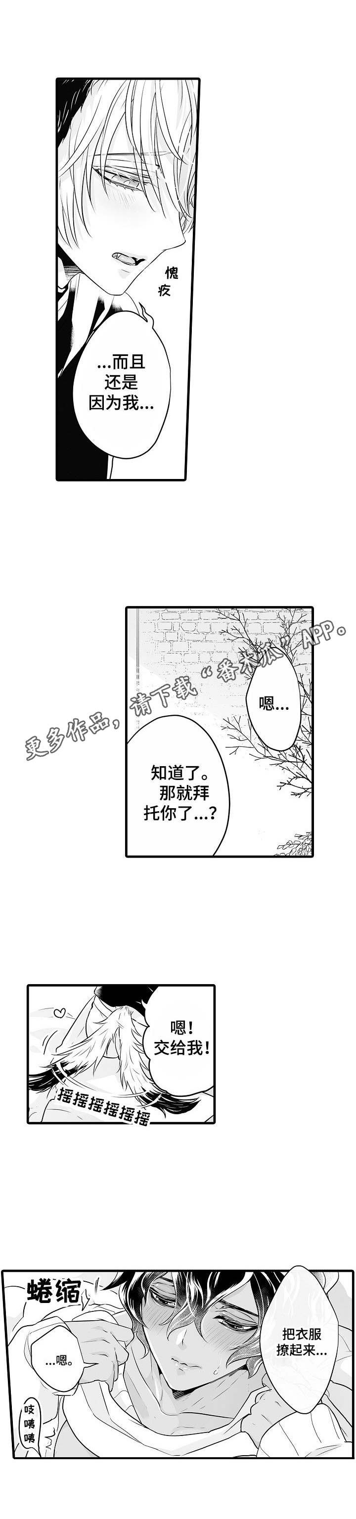 第13章：涂药