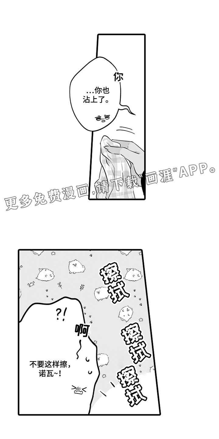 第18章：期待便当