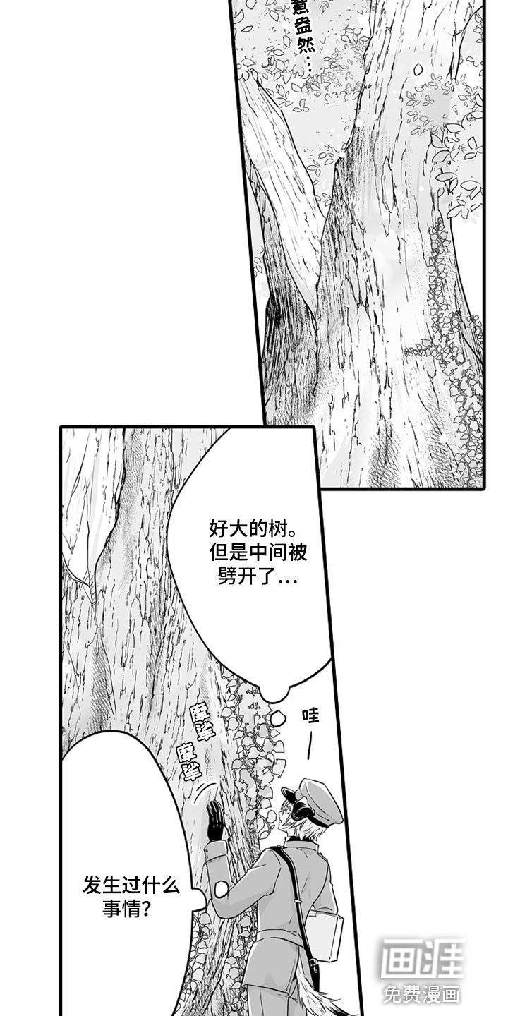 第21章：图书馆