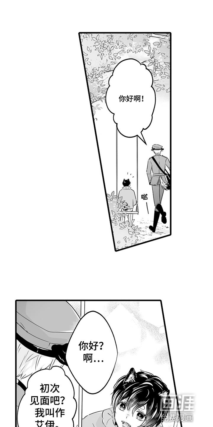 第22章：保护