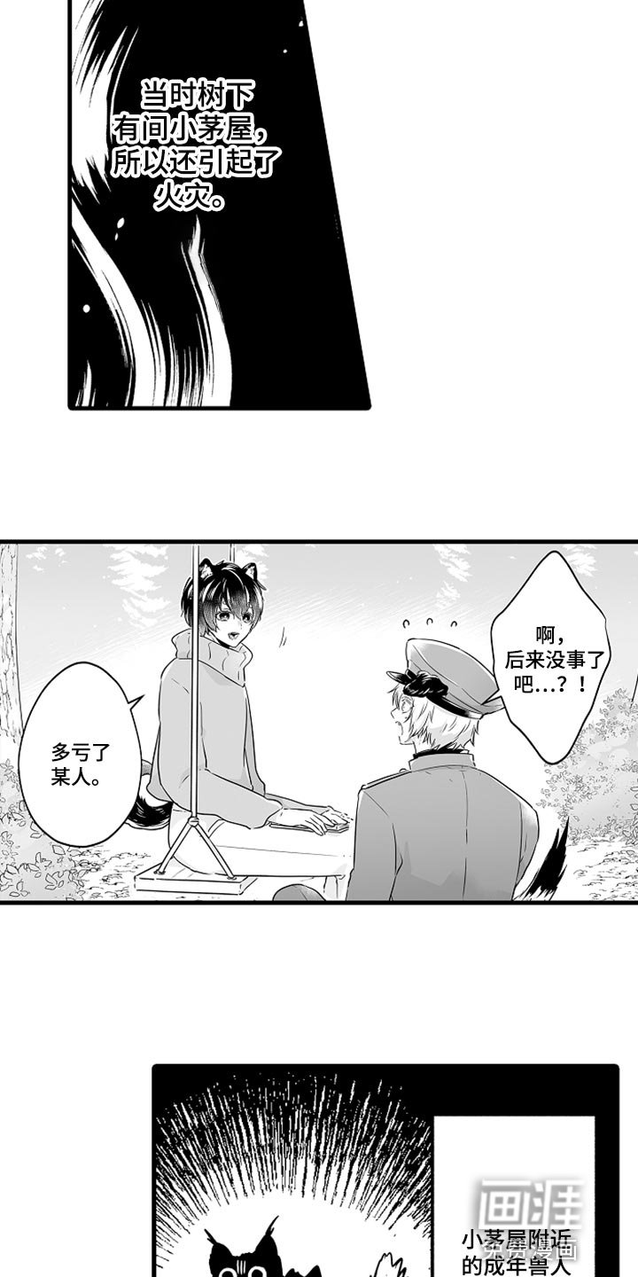 第22章：保护