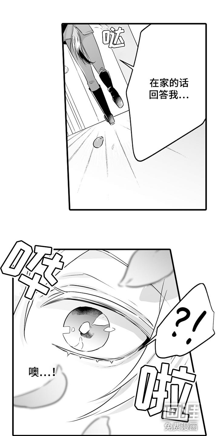 第27章：成年礼