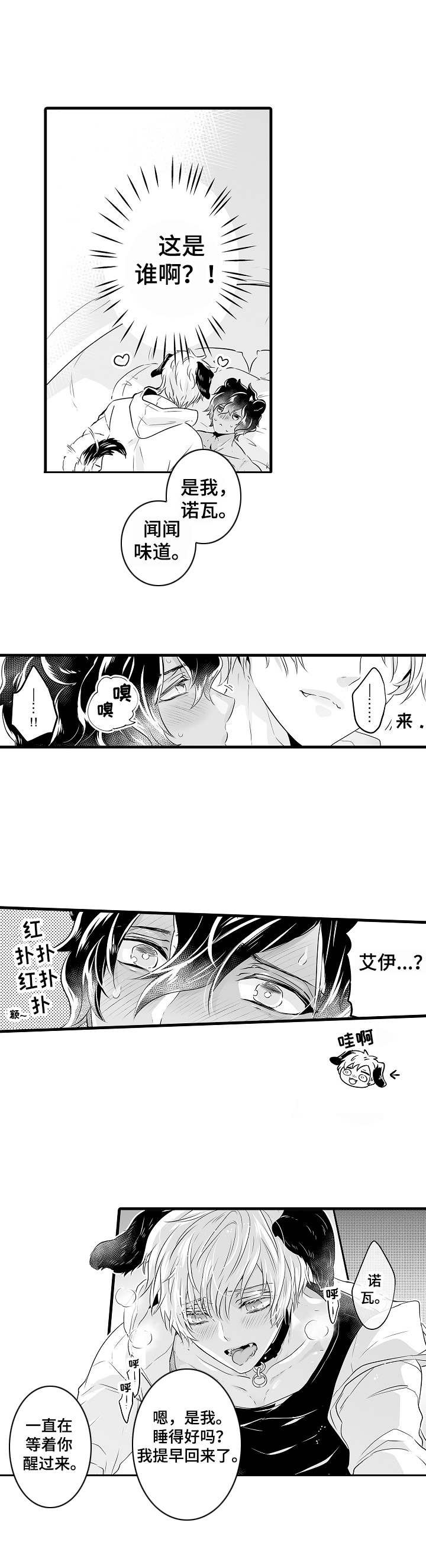 第3章：大型犬