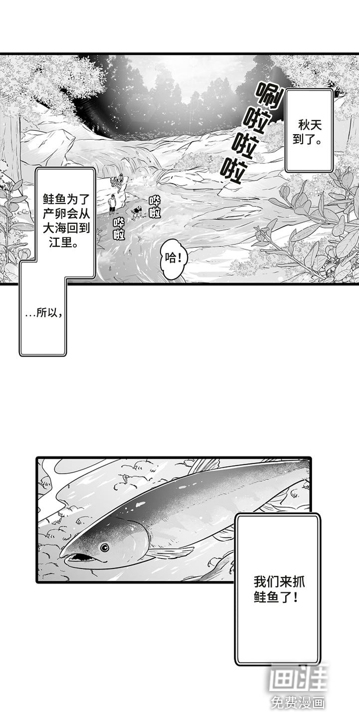 第36章：抓鲑鱼