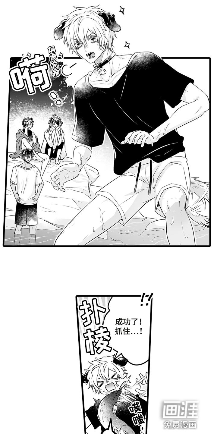 第36章：抓鲑鱼