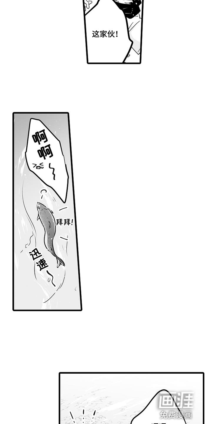 第36章：抓鲑鱼