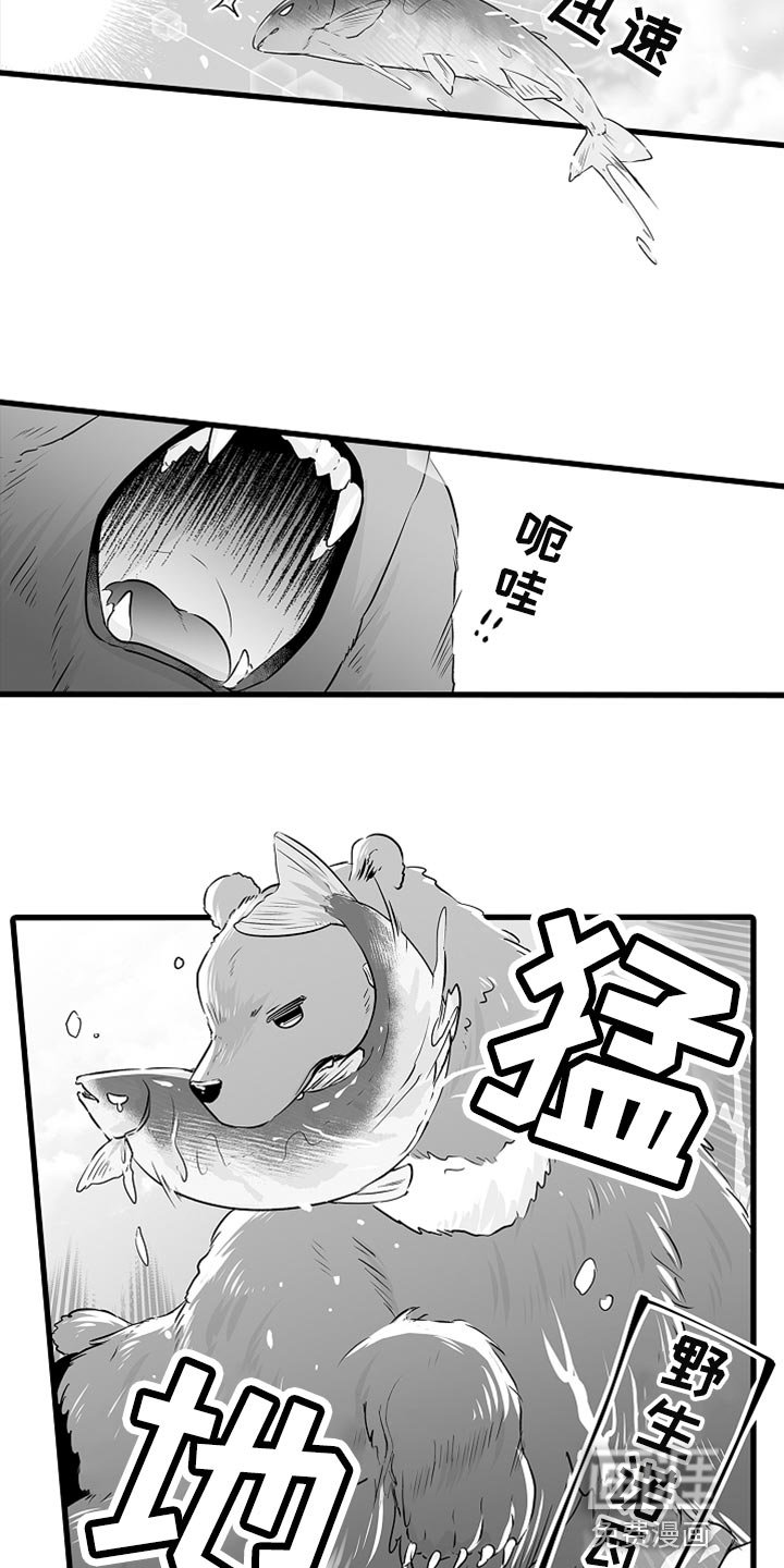 第36章：抓鲑鱼