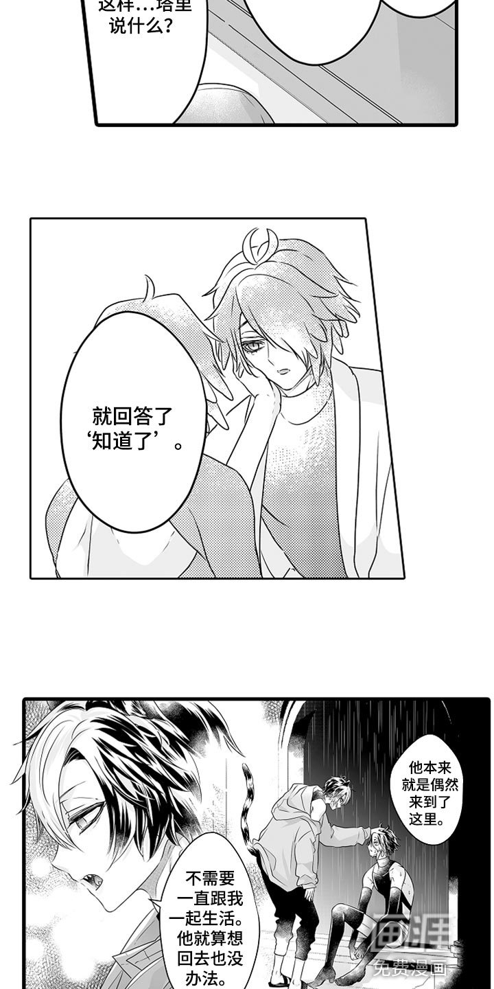 第40章：诚实地说出来