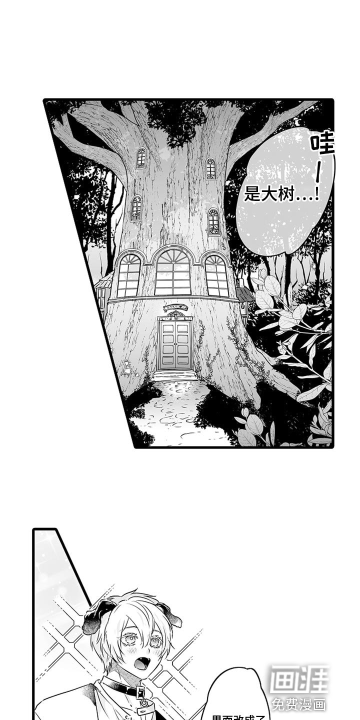 第46章：茶话会帮手