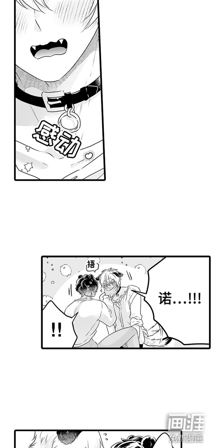 第49章：憧憬