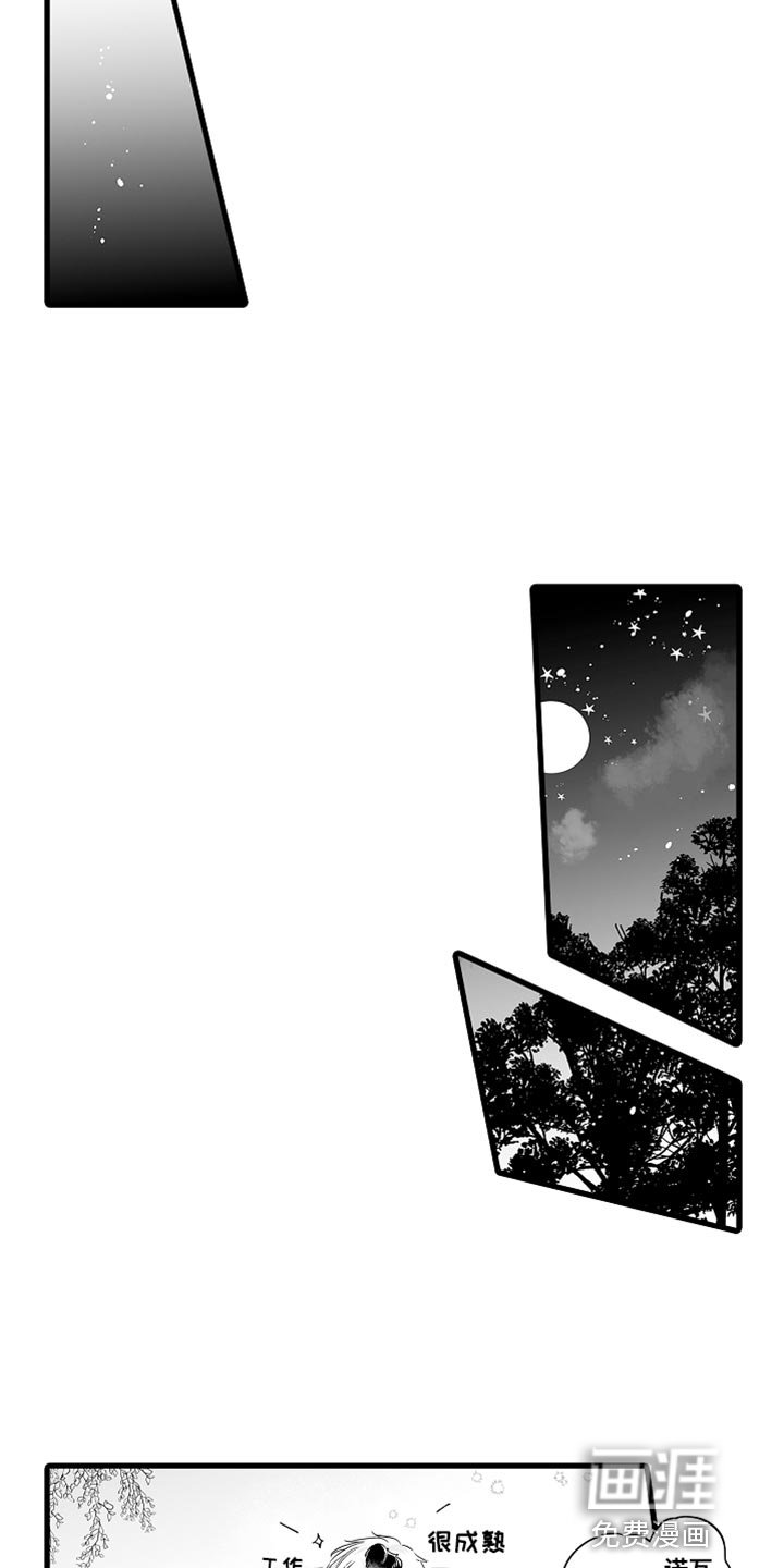 第49章：憧憬