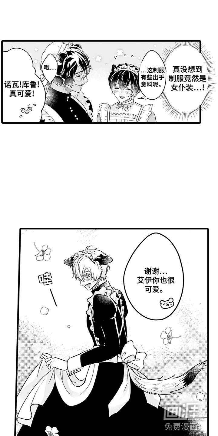 第50章：橡子咖啡营业