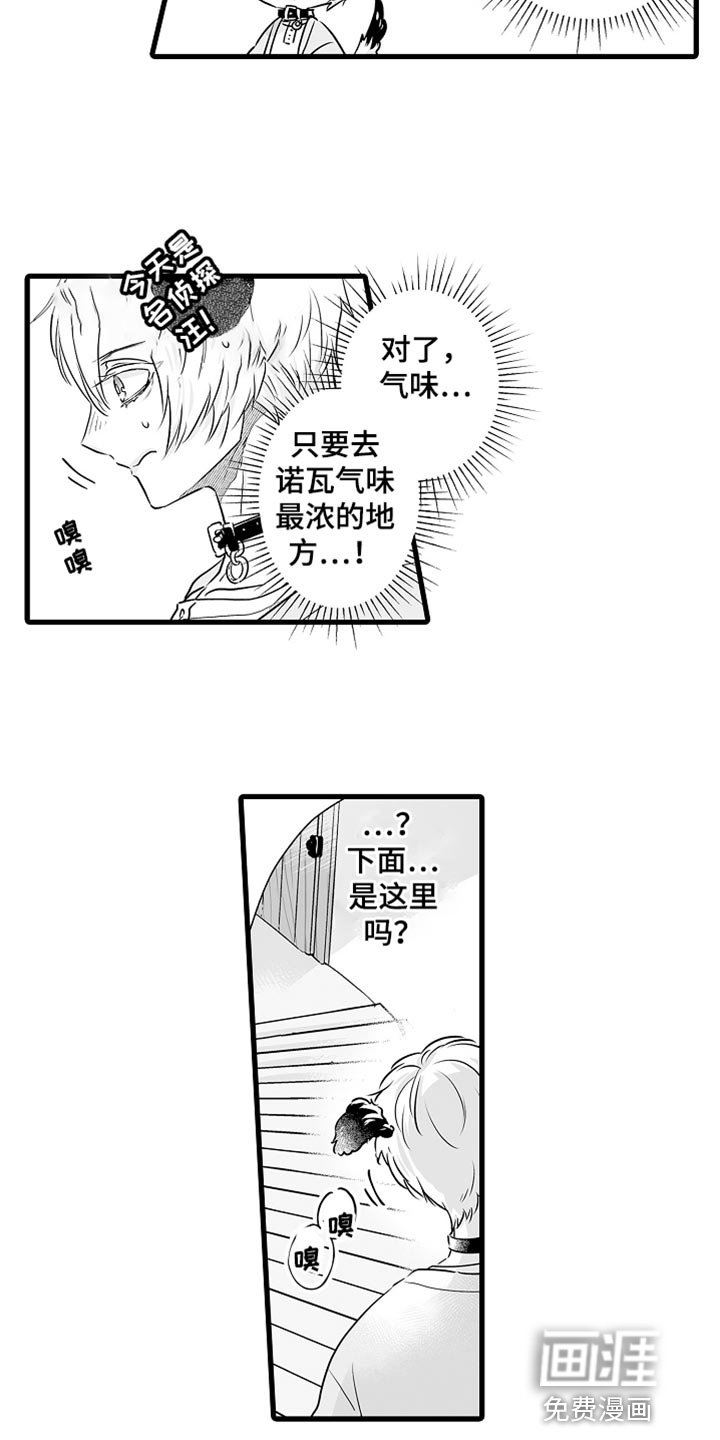 第61章：按你的想法来