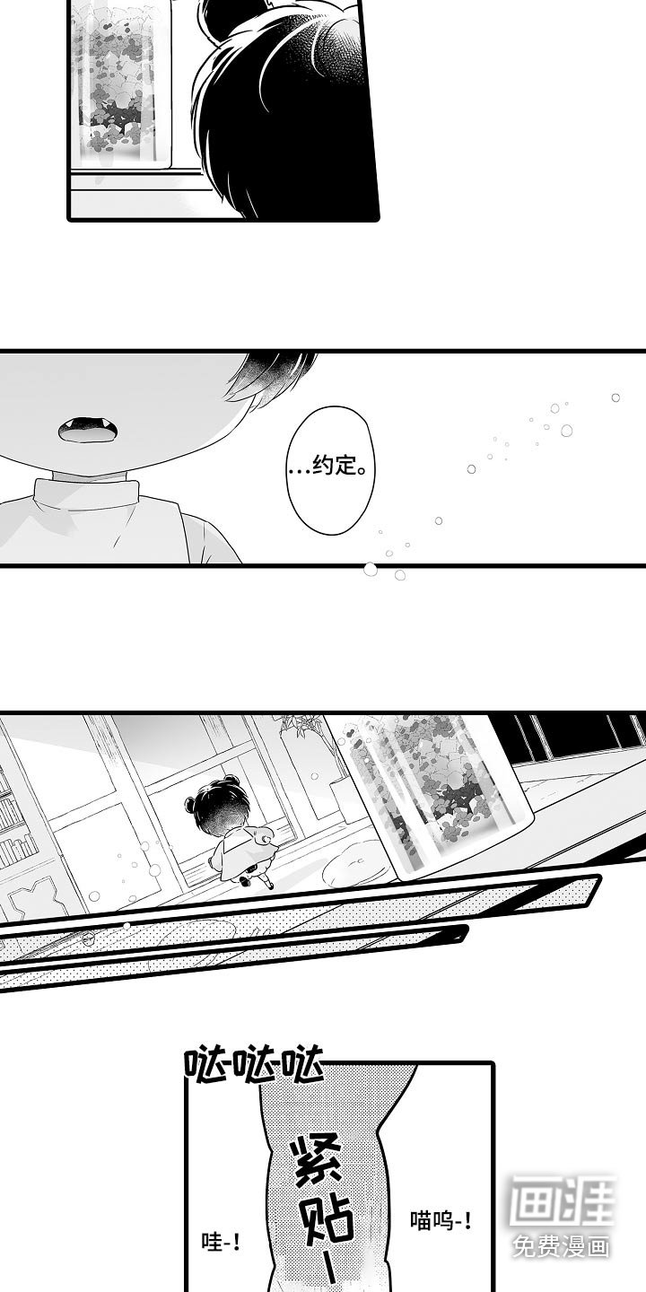 第62章：约定
